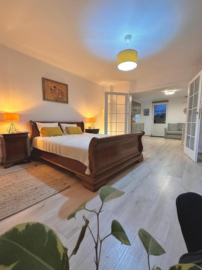 Casa 9 Apartment Albesti  Luaran gambar